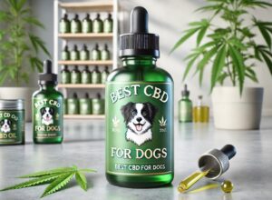Top 6 Selected CBD Oils for your Dog: Top Picks & Expert Reviews